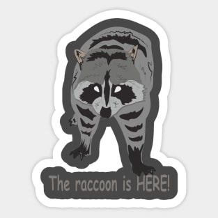 The raccoon is HERE! Sticker